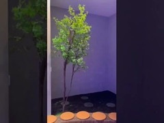 Ø600*H380mm Parlak ve Doğal Işıklandırma için LED Yapay Güneş Işığı Paneli CRI 95