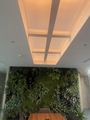 satın al Rectangle Faux Skylight Panels 220mm Highness Customizable Solutions Çevrimiçi üretim