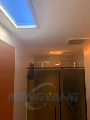 satın almak Tuya, DALI ve Zigbee Akıllı Kontrol Özel OEM Fabrikası ile 80W Yapay Skylight Çevrimiçi üretim