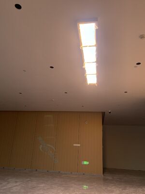 satın almak 66mm Ultra Slim LED Skylight Panel DALI & Akıllı Uygulama Kontrolü ve Gerçekçi Gündüz Işığı için Yüksek CRI 95+ Çevrimiçi üretim
