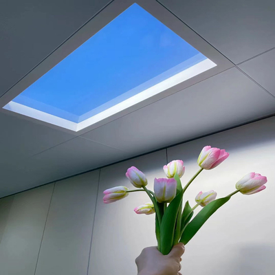Oda dönüşümü için SkyRay LED tavan lambası, doğal güneş ışığı etkisi, düşük aydınlık ortamlar için idealdir