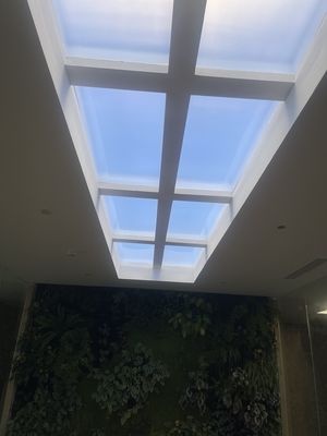 150W Güç Tüketimi İçin Yerleşik Yapay LED Skylight LED Işık Kaynağı ve Yerleşik Kurulum Yöntemi