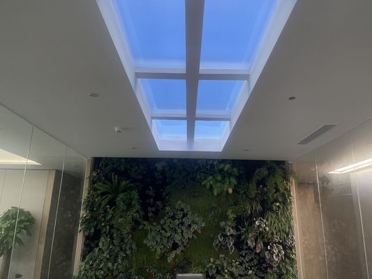 Beyaz Işık Renkli Yerleşik Yapay LED Skylight 12kg Yerleşik Kurulum Yöntemi Ticari için