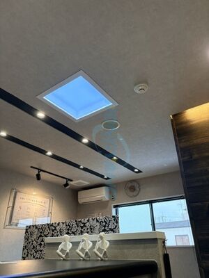 AC100-240V Güç Kaynağı Parlak Dış Mekan LED Işıkları Herhangi Bir Dış Mekan Alanı İçin En İyi Aydınlatma Çözümü